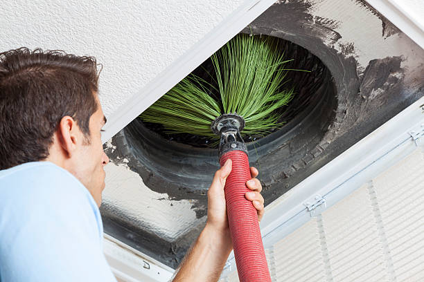 Best Dryer Vent Cleaning Services  in Golden Shores, AZ